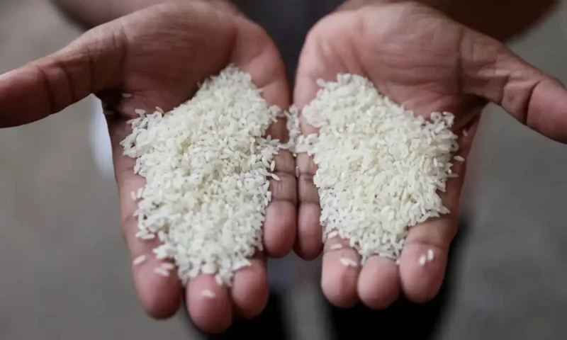 Pakistan removes floor price for rice exports