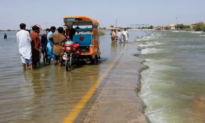 Rainfall expected from October 5 to 8