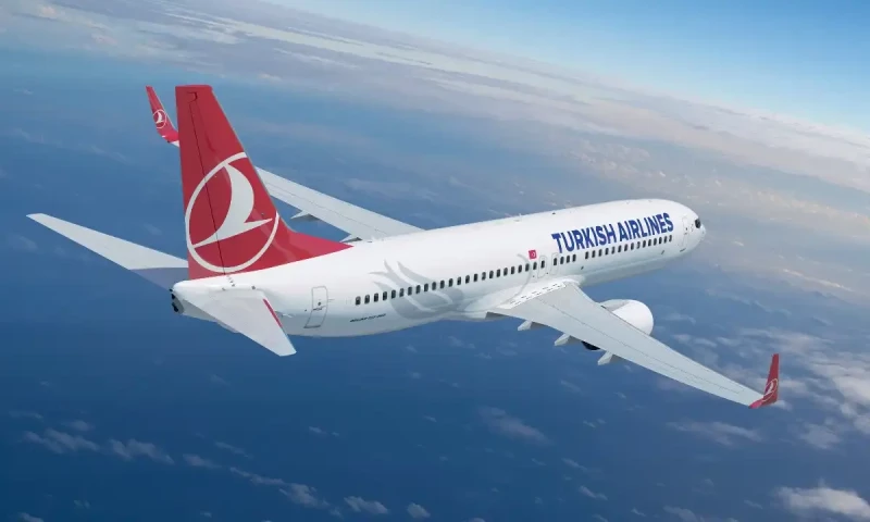 Turkish Airline plane makes emergency landing after pilot dies mid-flight