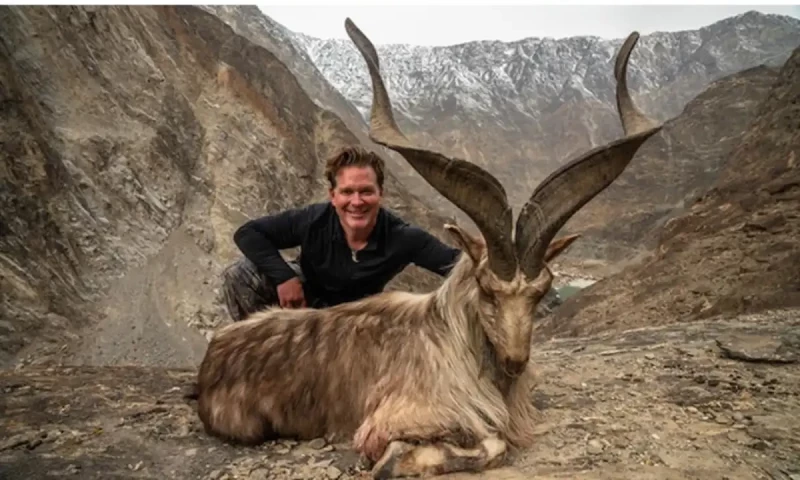 KP govt achieves milestone with Markhor permit sales