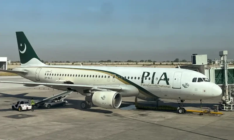 Pakistan govt unveils five-year privatization plan