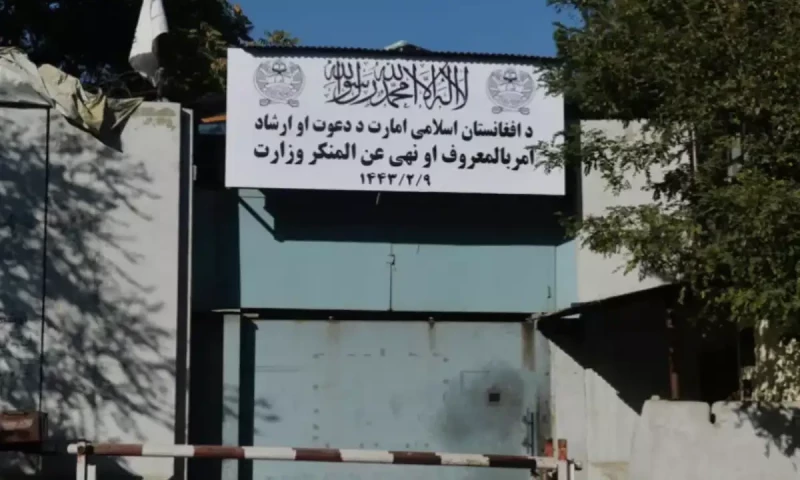 Afghan Taliban vow to implement media ban on images of living things