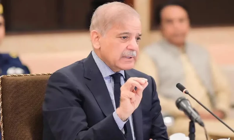 PM Shehbaz urges US President Biden: Grant pardon for Dr Aafia Siddiqui