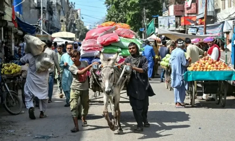 Modern pressures burden Pakistan&rsquo;s donkey business