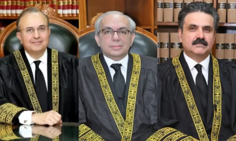 Special Parliamentary Committee formed for next CJP&rsquo;s appointment