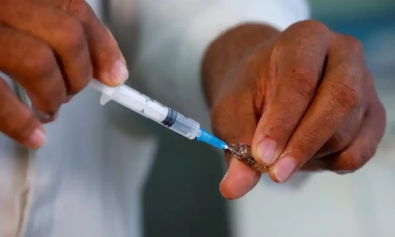 Sindh reports 28 deaths due to diphtheria outbreak