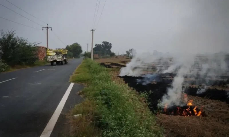 Pakistan, India arrest farmers for burning crop waste as pollution rises