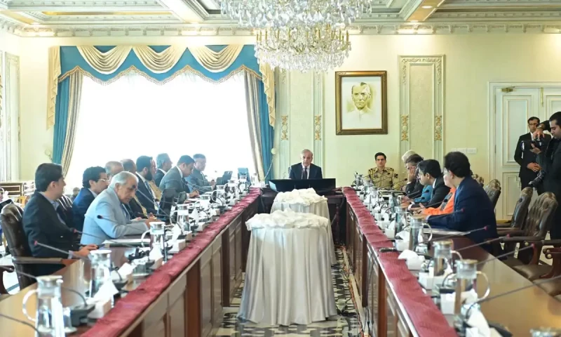 PM lauds opposition MNAs for voting for constitutional amendment