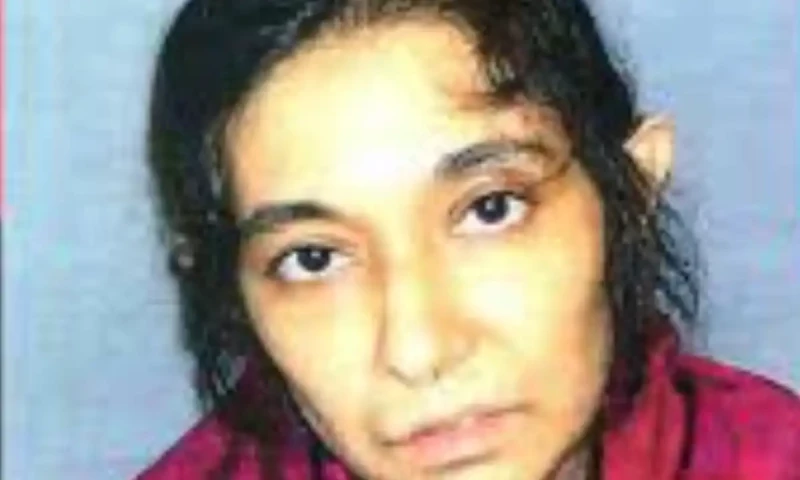 Pakistani delegation to visit US for Dr. Aafia Siddiqui&rsquo;s repatriation