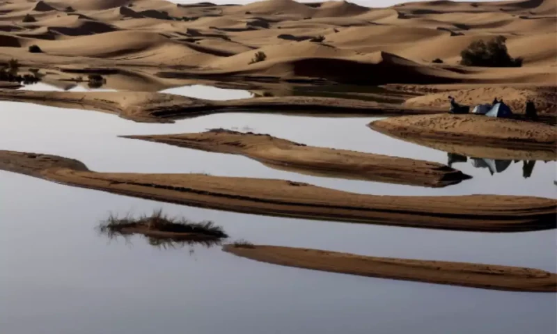 The Sahara Desert is flooded, yes you read that right
