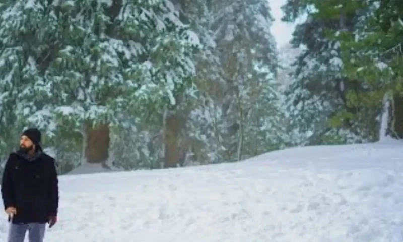 Winter arrives in northern areas with snowfall in Kalam