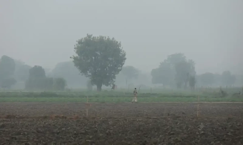 PMD forecasts light rain, snowfall in Gilgit-Baltistan today