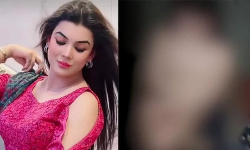 Case filed under PECA over transgender Dolphin Ayan&rsquo;s leaked video