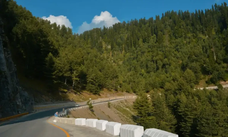 Fire in Abottabad&rsquo;s Lower Galliyat forest still raging