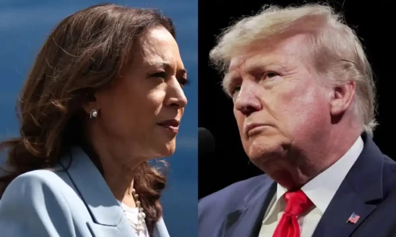 Harris or Trump: America decides in knife-edge election