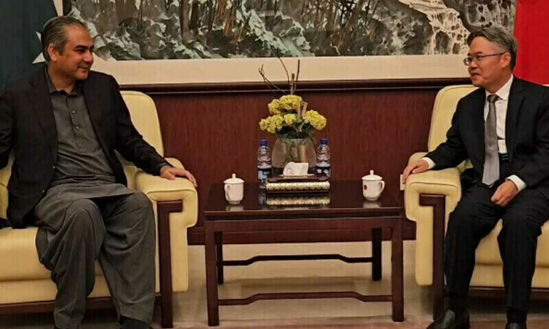 Pakistan priroritising security of Chinese citizens and projects, says Naqvi
