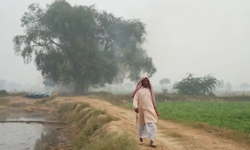Lahore&rsquo;s air quality plummets to 714 as severe smog forces Motorway closures in Punjab