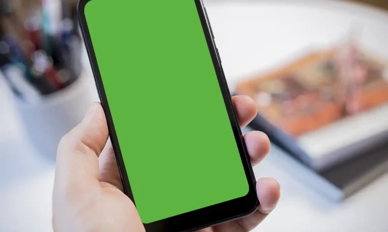 What is the WhatsApp green screen issue?