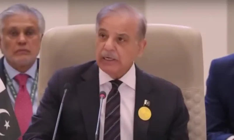 Arab-Islamic summit should call for Israel&rsquo;s accountability for war crimes: PM Shehbaz