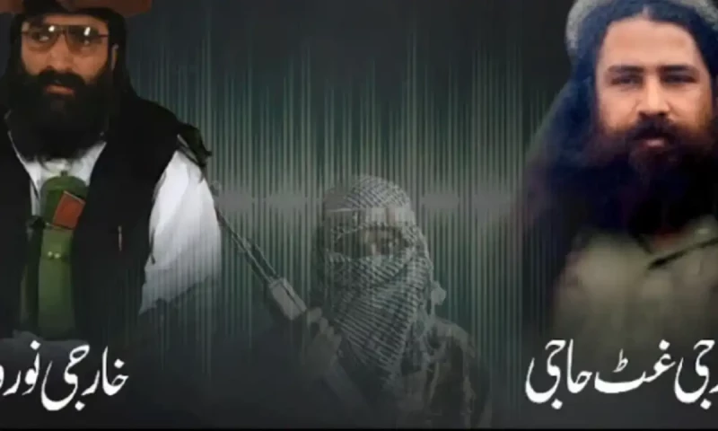 Audio leak suggests Pakistani militants find refuge in Afghanistan