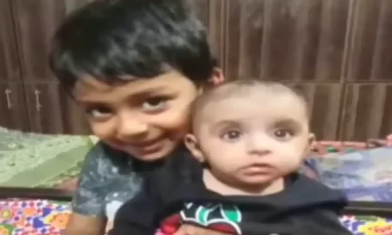 Mother of boys who were died due to poisoned milk arrested