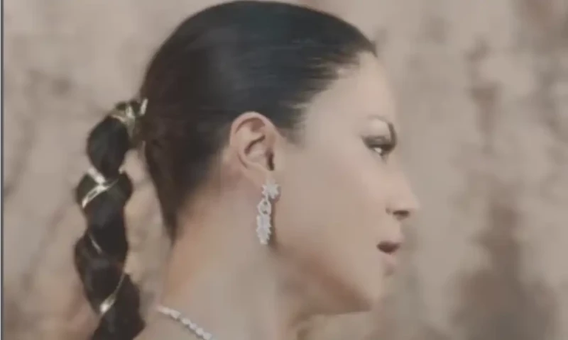 Veena Malik ties the knot again, who is the husband?