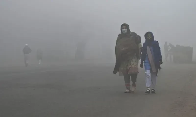 Smog posing threat to plant health as well