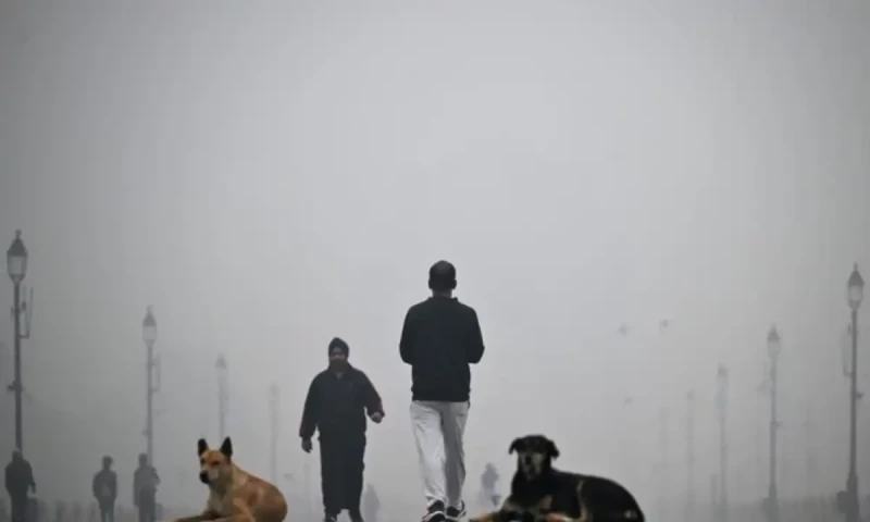 India&rsquo;s capital Delhi shuts schools as &lsquo;death trap&rsquo; smog chokes city