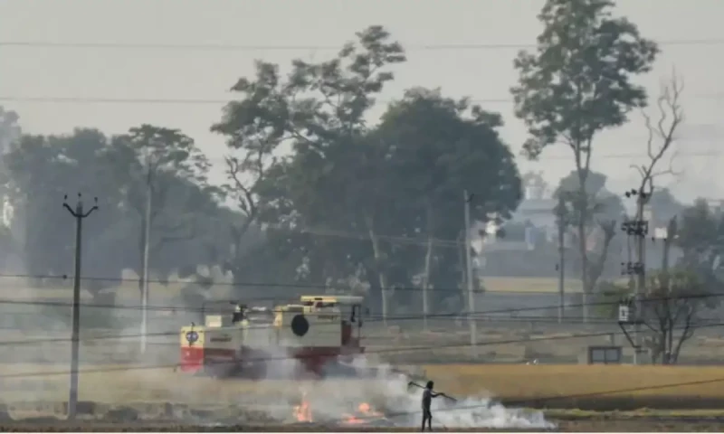 Illegal farm fires fuel Indian capital&rsquo;s smog misery