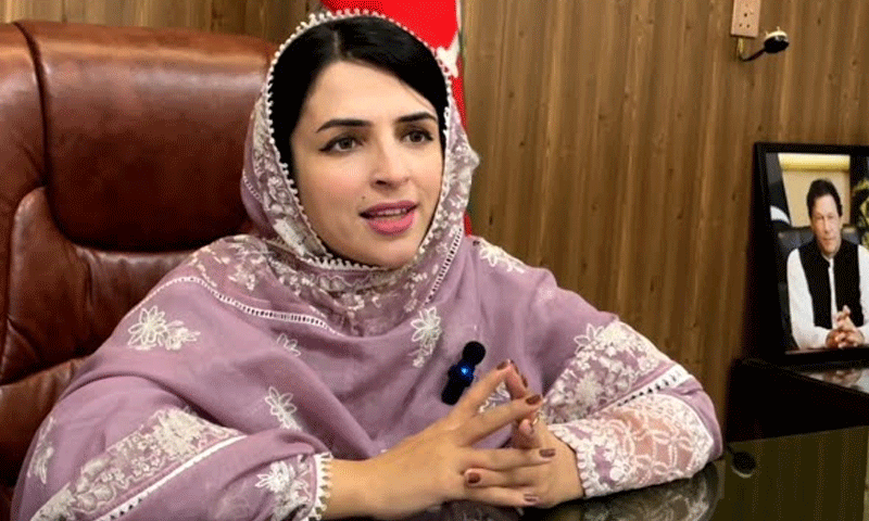 Peshawar: Mashal Yousafzai dismissed from chief minister&rsquo;s advisory role