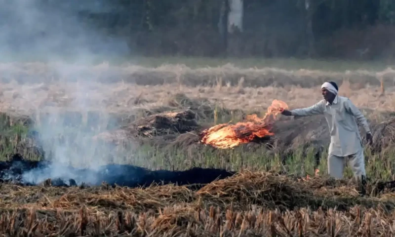 The farm fires helping to fuel India&rsquo;s deadly air