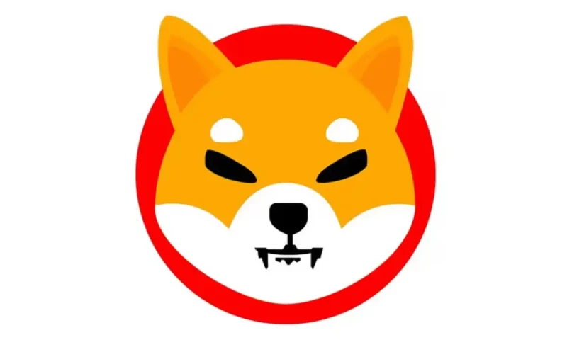 Shiba Inu cryptocurrency soars to eight-month high