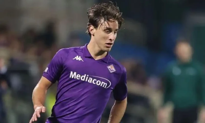 Fiorentina&rsquo;s Edoardo Bove in intensive care following on-field collapse; match abandoned