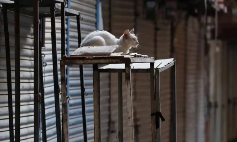 Widespread wheel jam and shutter-down strike in Azad Kashmir over Presidential ordinance