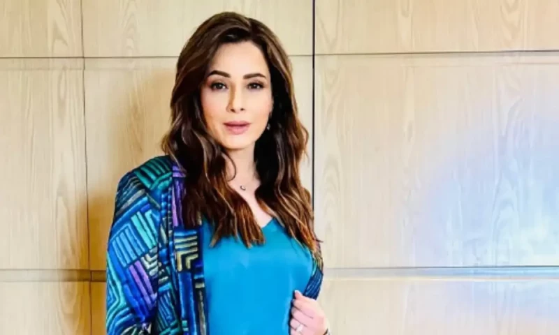 Neelam Kothari praises Fawad Khan at Dallas charity event