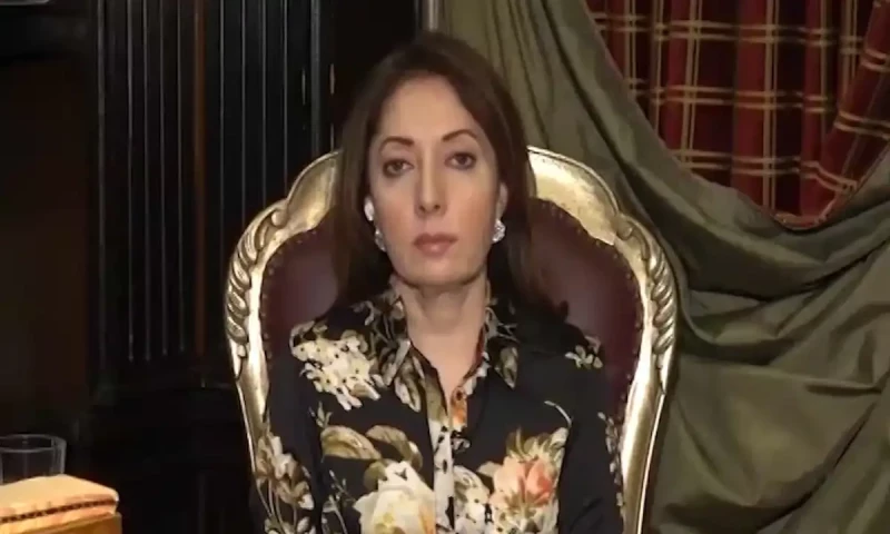 Is PPP positioning itself for next government after Faisal Vawda&rsquo;s comment?