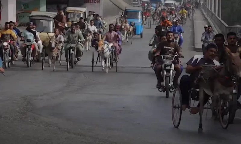 Slum residents spend heavily on racing donkeys amid economic hardship