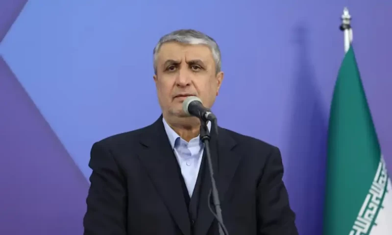 Iran commits to unrestricted access for UN Nuclear watchdog