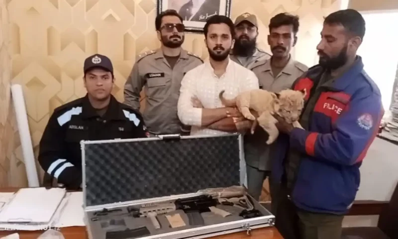 YouTuber Rajab Butt released on bail after arrest for displaying lion cub, weapons
