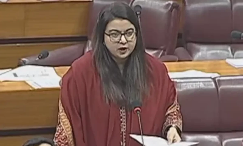 State IT minister presents Digital Nation Pakistan Bill in National Assembly