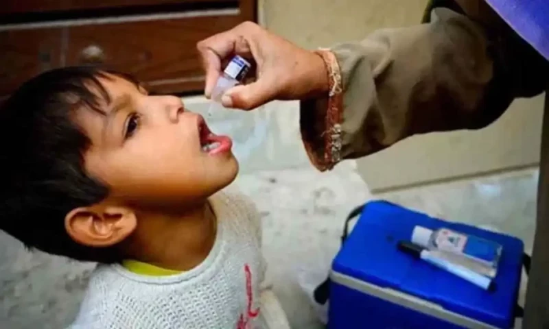 Birth, marriage, divorce, and death certificates made conditional with polio drops