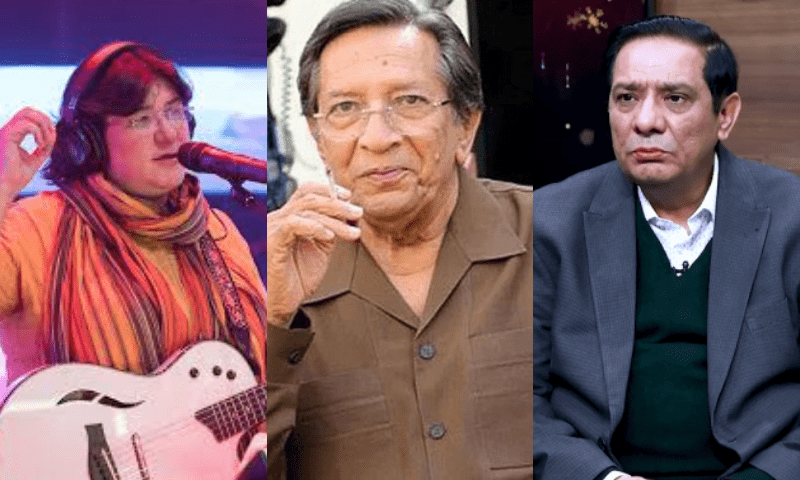 A year of loss for the Pakistani showbiz industry
