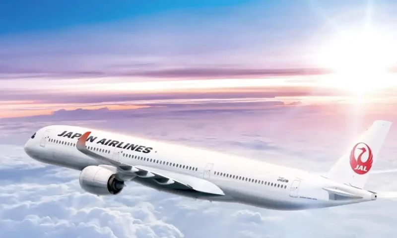 Japan airlines faces flight delays due to cyberattack