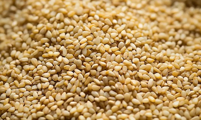 Pakistan becomes third largest exporter of sesame in the world
