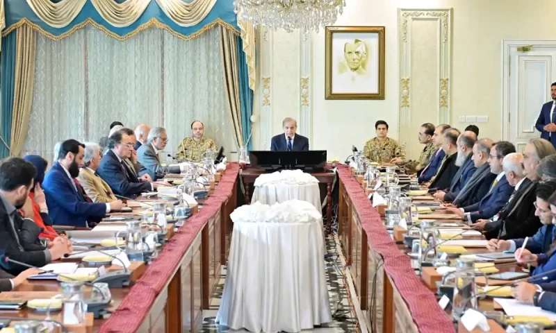 PM Shehbaz says economic progress hinges on peace