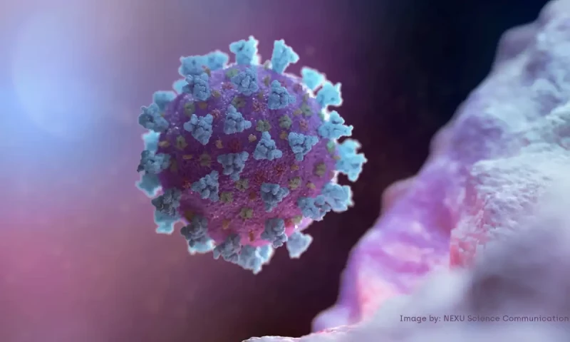Outbreak of Human Metapneumovirus (HMPV) in China raises concerns