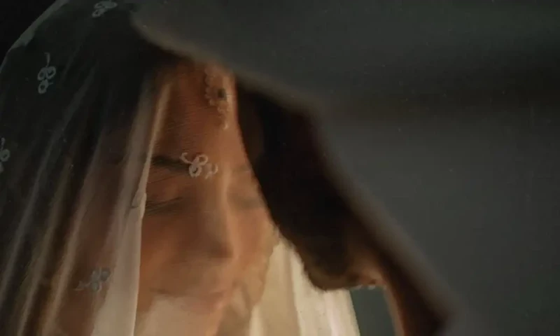 Actress Neelam Muneer unveils life partner in romantic photoshoot