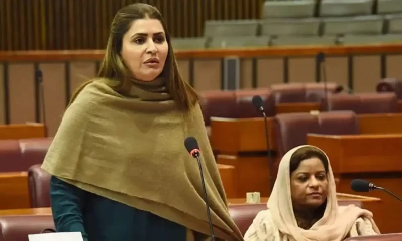 PPP threatens to withdraw from ruling alliance due to lack of consultation on decisions