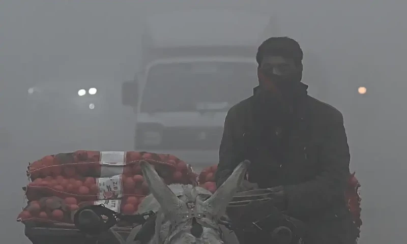 PMD forecasts relief as cold intensity expected to decrease until January 12