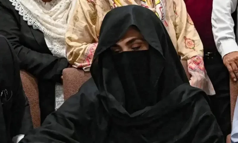 Former first lady Bushra Bibi&rsquo;s three interim bail requests rejected